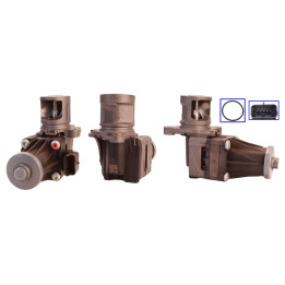 Zawór spalin EGR DRI 717730085