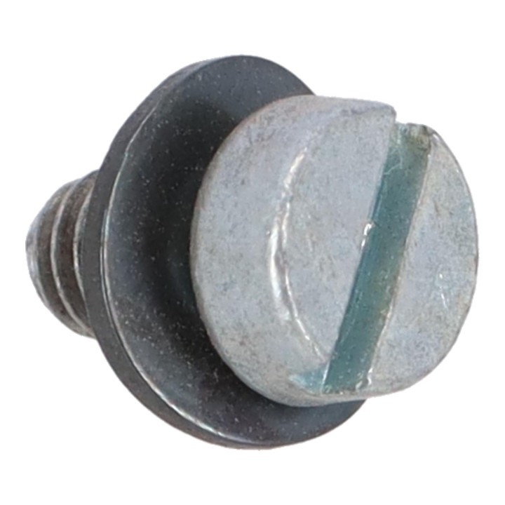 Screw Volvo (243937)
