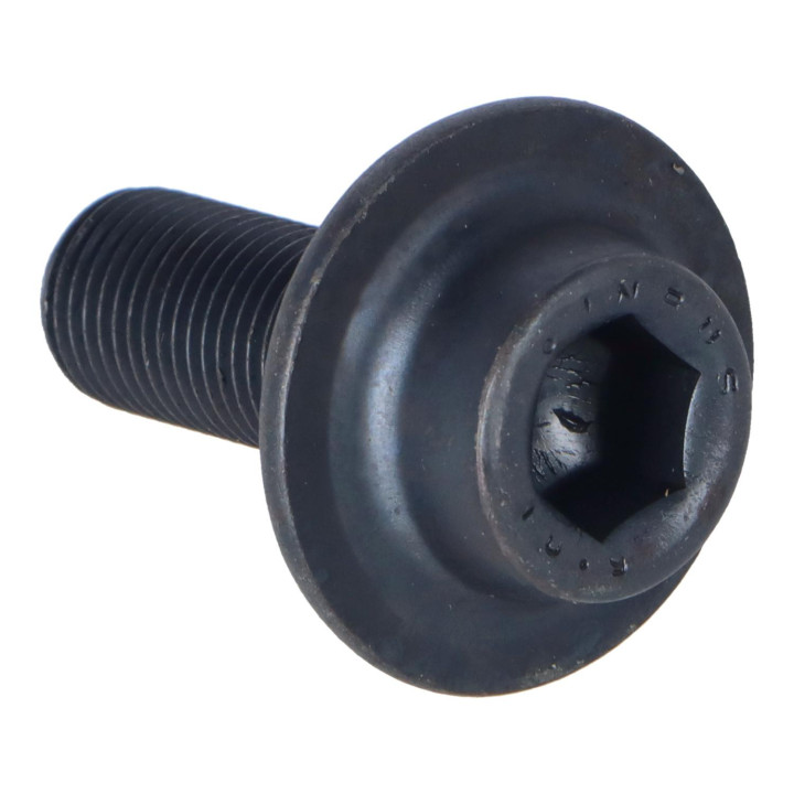 Screw Volvo (245056)