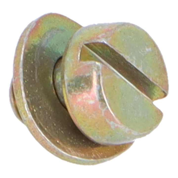 Screw Volvo (243928)
