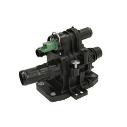 Termostat THERMOTEC D2C009TT