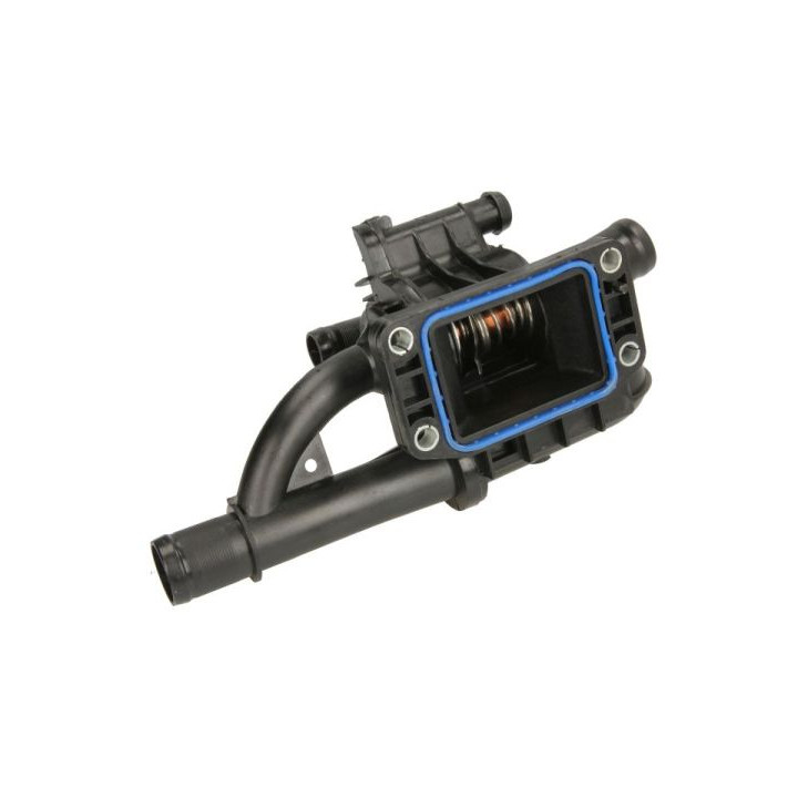Termostat THERMOTEC D2C011TT