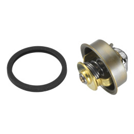 Termostat WAHLER 4089.87D