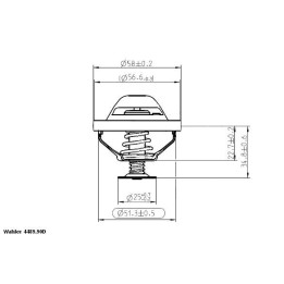 Termostat WAHLER 4489.90D