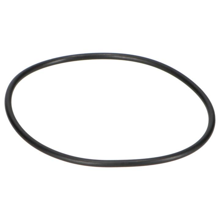 O-ring Volvo (925256)