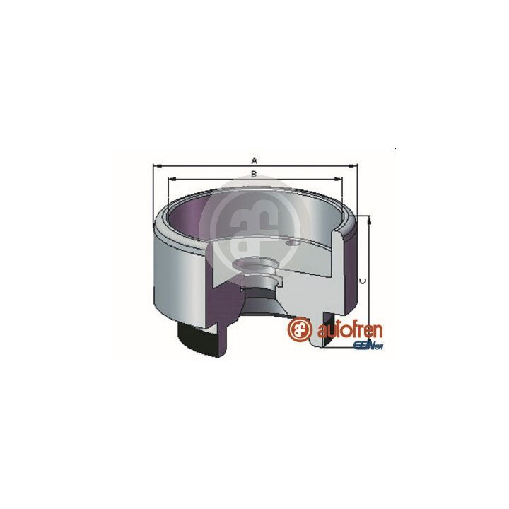 Tłoczek zacisku hamulcowego AUTOFREN SEINSA D025721
