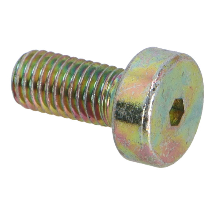 Screw Volvo (1218128)