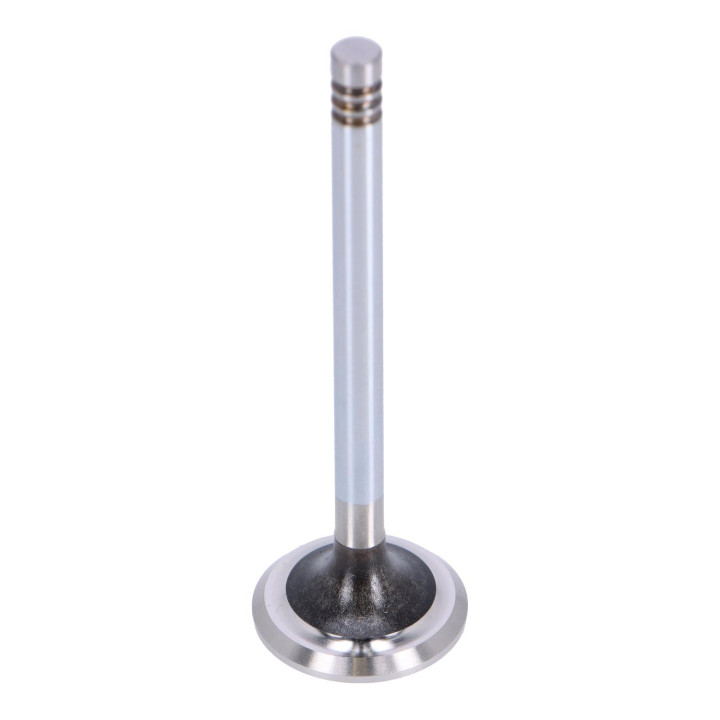 Exhaust valve Volvo (463526)