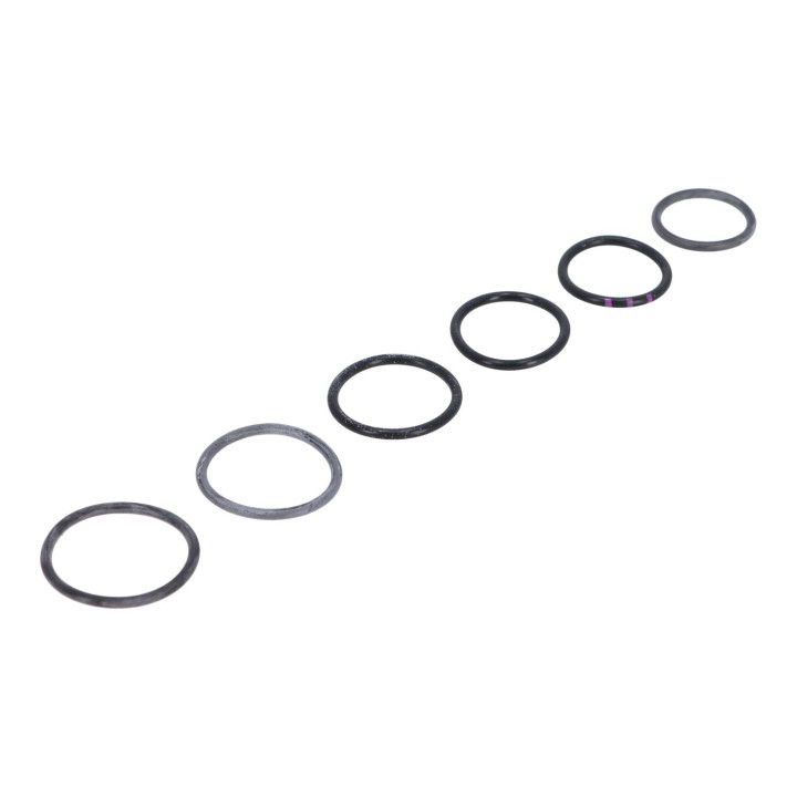 Sealing ring kit Volvo (273730)
