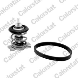 Termostat CALORSTAT by Vernet TH9200.88J