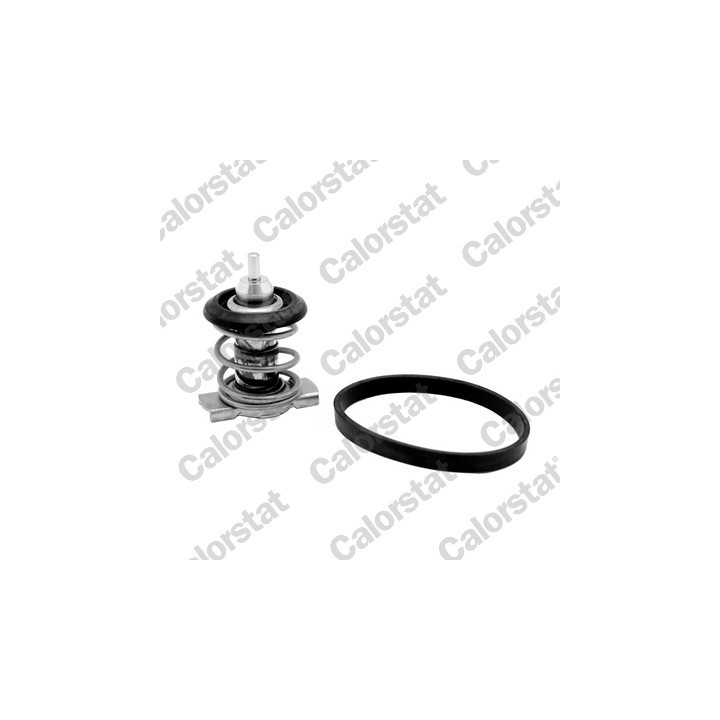 Termostat CALORSTAT by Vernet TH9200.88J