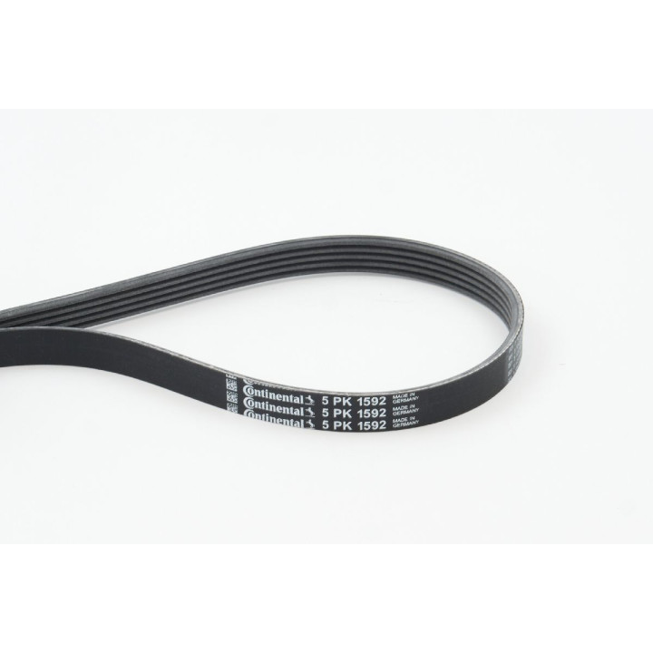 Pasek klinowy wielorowkowy CONTINENTAL CTAM 5PK1592