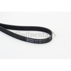 Pasek klinowy wielorowkowy CONTINENTAL CTAM 6PK1893
