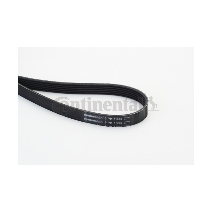 Pasek klinowy wielorowkowy CONTINENTAL CTAM 6PK1893
