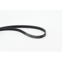 Pasek klinowy wielorowkowy CONTINENTAL CTAM 4PK925