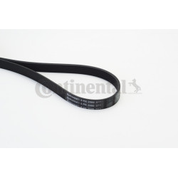 Pasek klinowy wielorowkowy CONTINENTAL CTAM 6PK2000