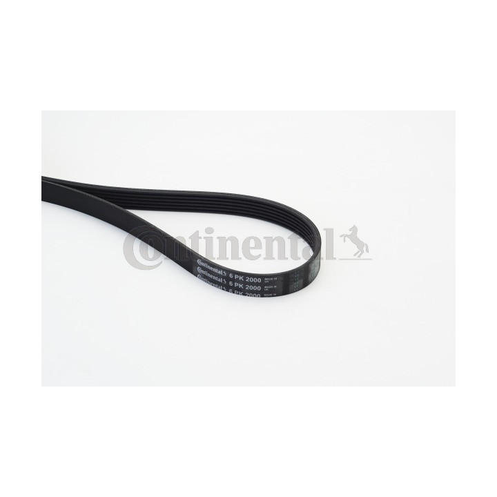 Pasek klinowy wielorowkowy CONTINENTAL CTAM 6PK2000