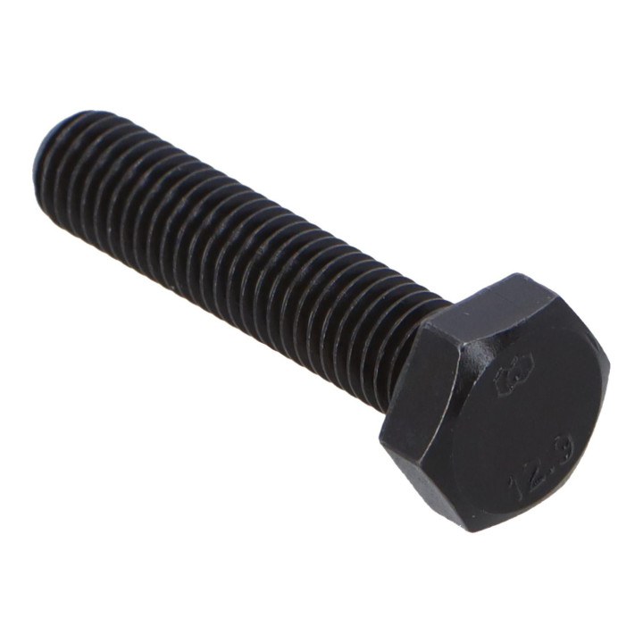 Hexagon screw Volvo (978271)