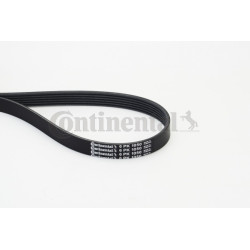 Pasek klinowy wielorowkowy CONTINENTAL CTAM 6PK1050