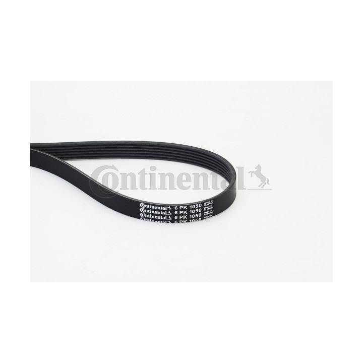 Pasek klinowy wielorowkowy CONTINENTAL CTAM 6PK1050