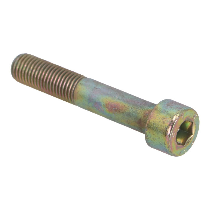 Screw Volvo (1218301)