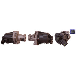 Zawór spalin EGR DRI 717720083