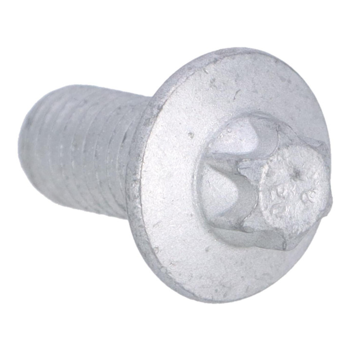 Screw Volvo (30862837)