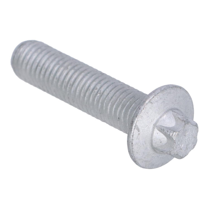 Screw Volvo (30862836)