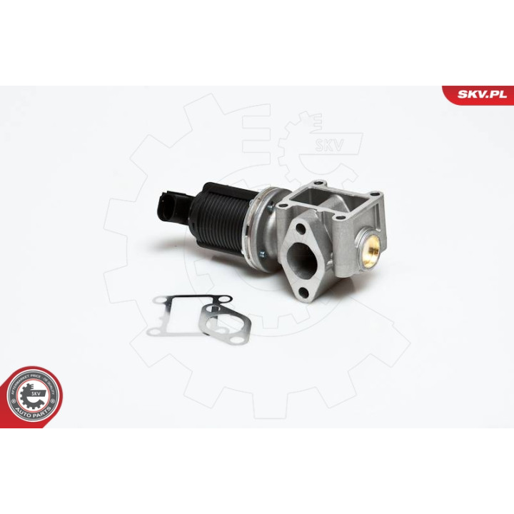 Zawór spalin EGR ESEN SKV 14SKV012