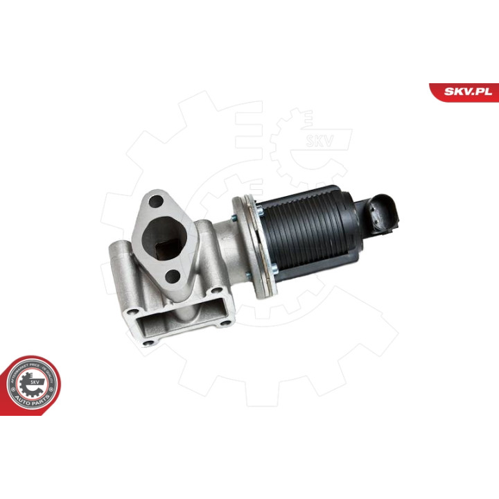 Zawór spalin EGR ESEN SKV 14SKV012