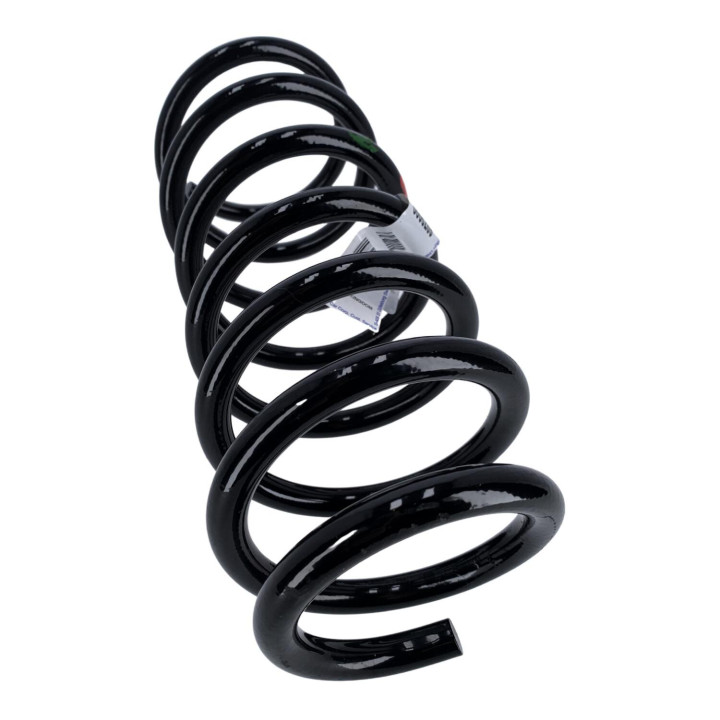 Rear spring Volvo (8666289)