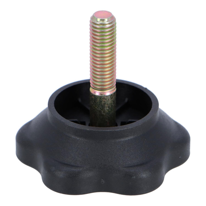 Screw Volvo (30850828)