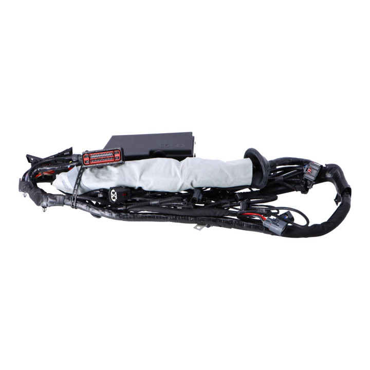 Wiring harness Volvo (30672941)