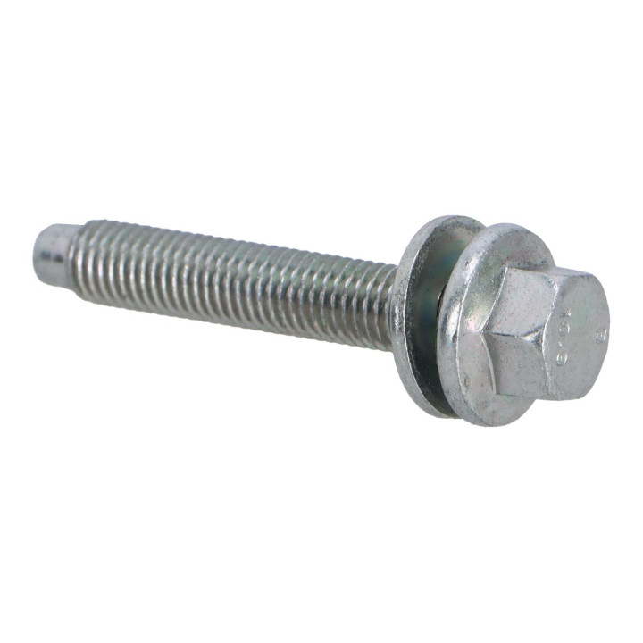 Sems screw Volvo (30640629)