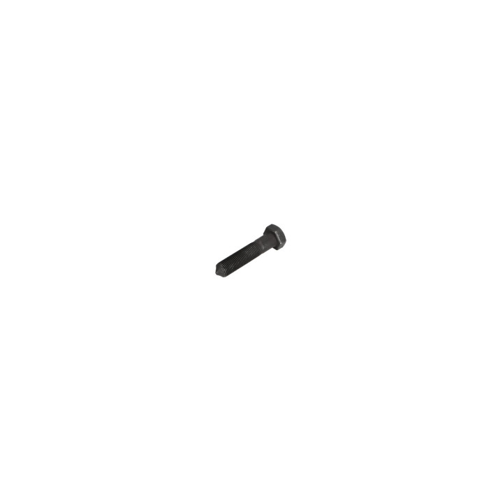 Screw Volvo (30819124)