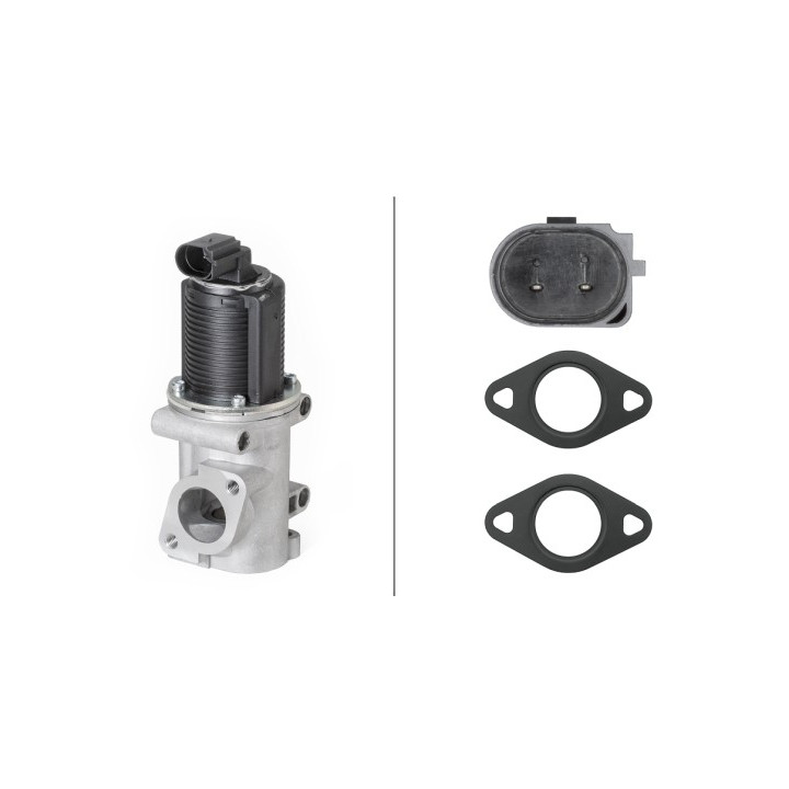 Zawór spalin EGR HELLA 6NU 010 171-541