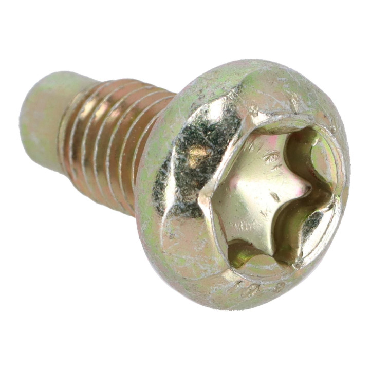 Six point socket screw Volvo (30683696)