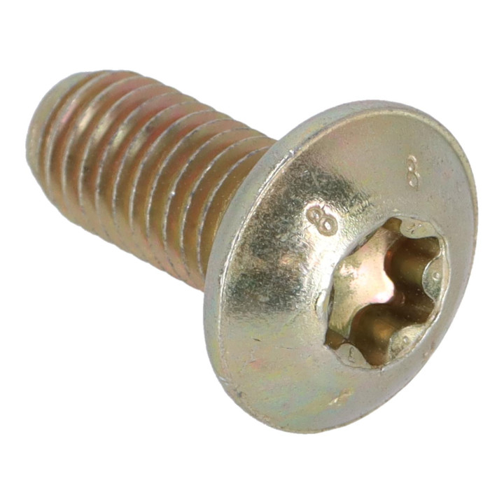 Screw Volvo (30889405)
