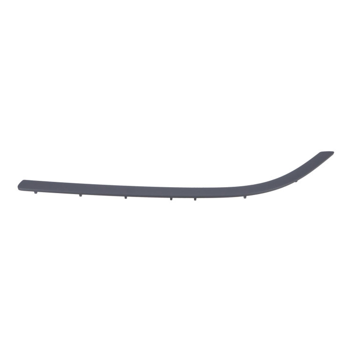 Moulding Volvo (30649386)