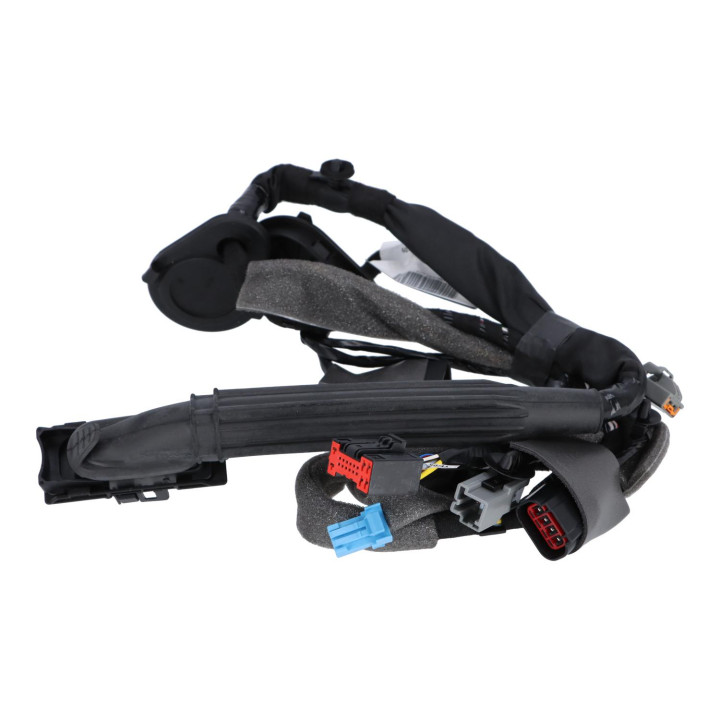 Wiring harness Volvo (30745842)