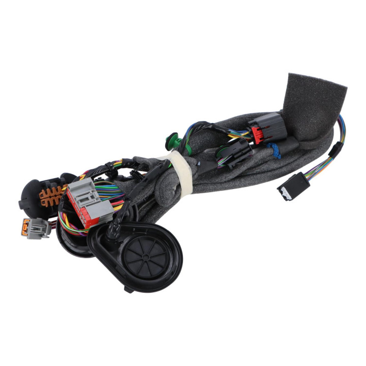 Wiring harness Volvo (30795067)