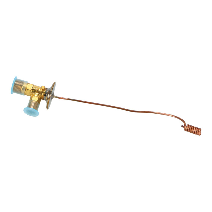 Valve Volvo (30890090)
