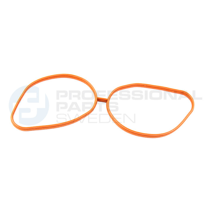 Uszczelka kolektora ssącego dolotowego Professional Parts 21340060