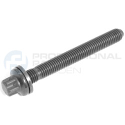 Śruba głowicy cylindrów Professional Parts 21345794