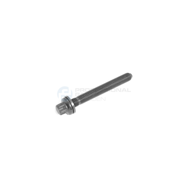 Śruba głowicy cylindrów Professional Parts 21345794