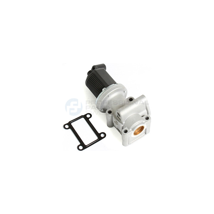Zawór spalin EGR Professional Parts 87345031