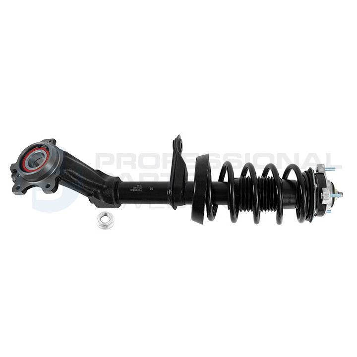 Zestaw zawieszenia sprężyna i amortyzator Professional Parts 72349405C