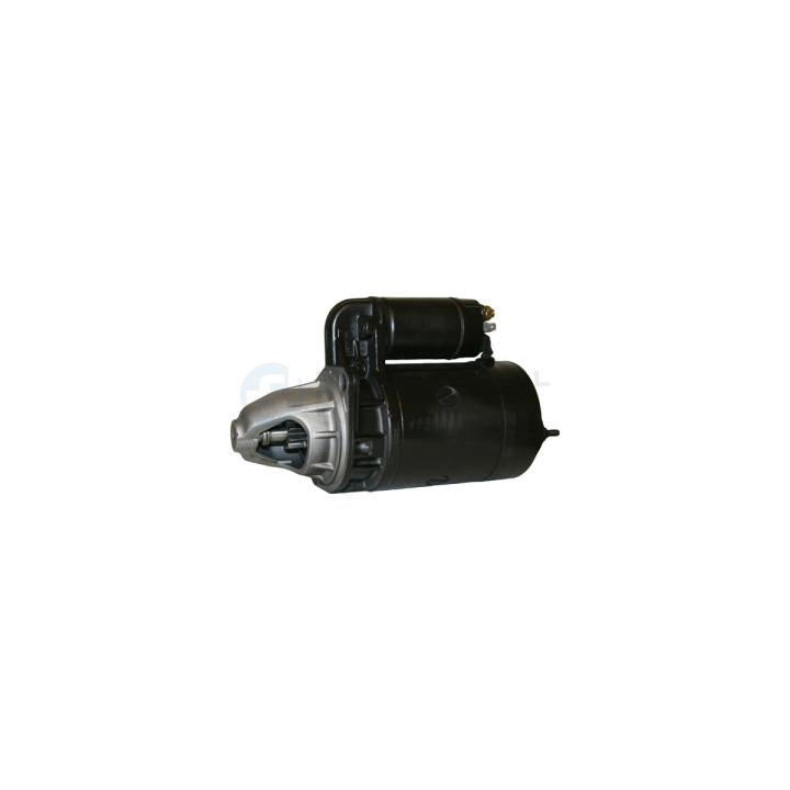 Rozrusznik Professional Parts 28341344