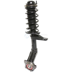 Zestaw zawieszenia sprężyna i amortyzator Professional Parts 72348841C