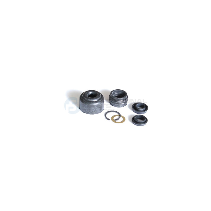 Zestaw naprawczy pompy sprzęgła Professional Parts 41341291